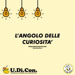 L'angolo delle curiosità